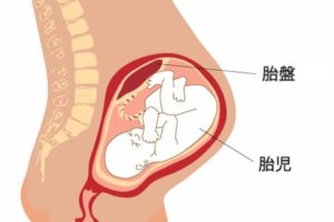 プラセンタ注射2年続けた実際の効果を教えます 副作用ってこわいの Off Time